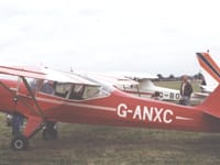 Auster J family - Image 12