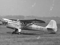 Auster J family - Image 14