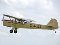 Auster J family - Image 1