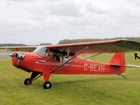 Auster J family - Image 3