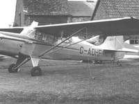 Auster J family - Image 4