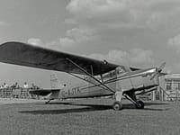 Auster J family - Image 5