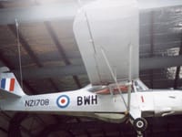 Auster J family - Image 7