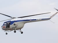 Bristol Sycamore - Image 10