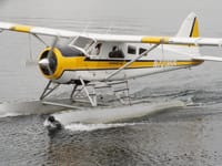 De Havilland Canada DHC-2 Beaver - Image 15