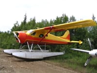 De Havilland Canada DHC-2 Beaver - Image 4