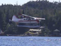 De Havilland Canada DHC-2 Beaver - Image 18