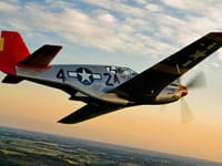 North American P-51 Mustang - Image 20