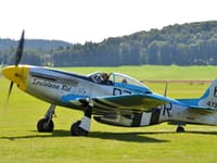 North American P-51 Mustang variants - Image 14