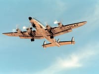 Columbine II - Image 5