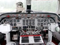 Douglas C-54 Skymaster - Image 2