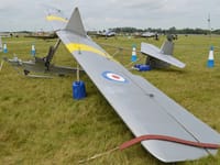 Slingsby Grasshopper