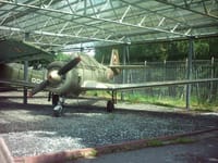 PZL TS-8 Bies - Image 4