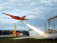 Ryan Firebee - Image 2