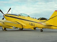 Cavalier Mustang - Image 2