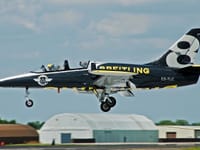 Aero L-39 Albatros - Image 11