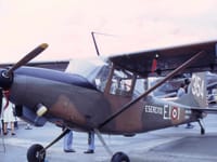 SIAI-Marchetti SM.1019 - Image 3