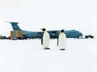 Lockheed C-141 Starlifter - Image 9