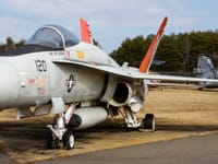 McDonnell Douglas F/A-18 Hornet - Image 24