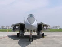 Grumman F-14 Tomcat - Image 10