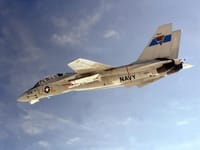 Grumman F-14 Tomcat - Image 18