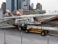 Grumman F-14 Tomcat - Image 4