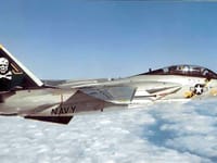 Grumman F-14 Tomcat - Image 26