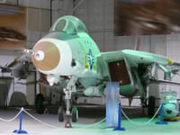 Grumman F-14 Tomcat - Image 29