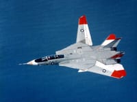 Grumman F-14 Tomcat - Image 30