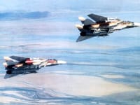 Grumman F-14 Tomcat - Image 34