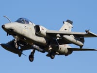 AMX International AMX - Image 6