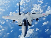 Mitsubishi F-15J - Image 8