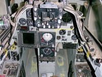 Atlas Cheetah - Image 3