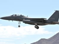 McDonnell Douglas F-15E Strike Eagle - Image 10