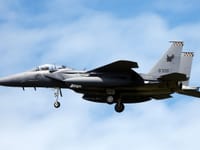 McDonnell Douglas F-15E Strike Eagle - Image 19