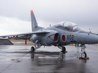 Kawasaki T-4 - Image 6