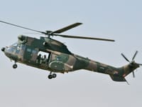 Atlas Oryx - Image 3