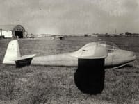 IPT-2 Aratinga